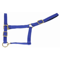 Synthetisch halster met suèdine voering T van T Koningsblauw