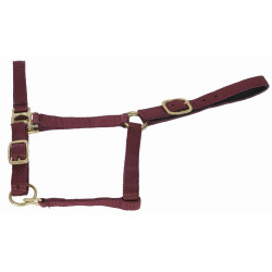 Licol synthétique doublé suédine T de T Bordeaux