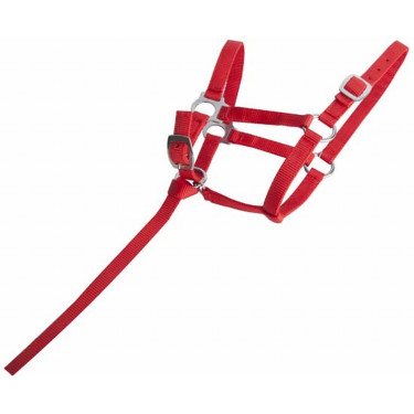 Synthetisch veulenhalster T de T Synthetisch veulenhalster T de T