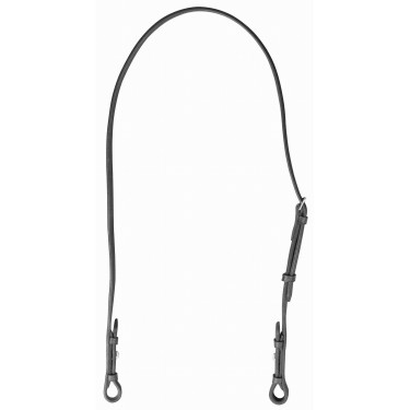 Teugels voor trens T de T