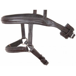 Frans/Duitse gecombineerde neusriem T de T Zwart