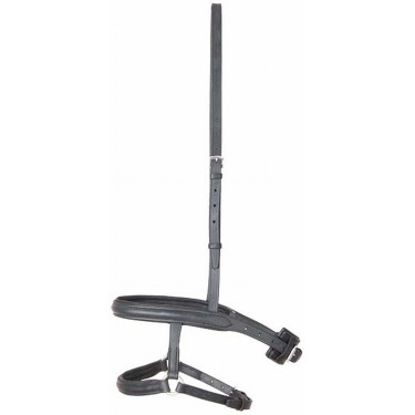 Frans/Duitse gecombineerde neusriem T de T Zwart