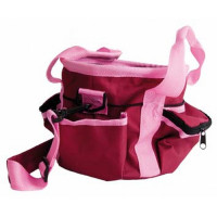 Poetskoffer klein model T de T Bordeaux / roze