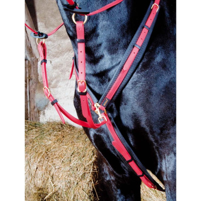 Jachtmartingaal Biotack T de T Rood
