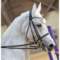 Dressuurhoofdstel Ribera rond leer T de T Zwart Dressuurhoofdstel Ribera rond leer T de T Zwart