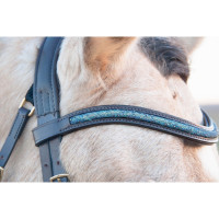 Bridon Guardi T de T Aqua anatomisch hoofdstel Softy leer Donker Havana Bruin
