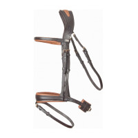 Anatomisch hoofdstel Matisse T de T Marron / marron