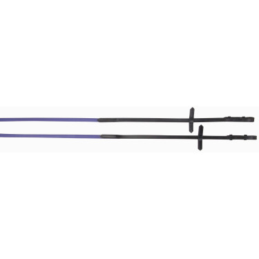 Biotack® teugels glad + Leer T de T Biotack® teugels glad + Leer T de T