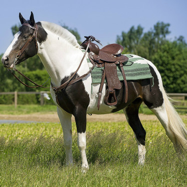 Westernzadel Westride Topeka Westernzadel Westride Topeka