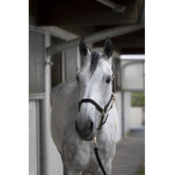 Halster + lijn Norton Rose gold Zwart