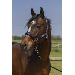 Halster Norton 4lines Marineblauw Halster Norton 4lines Marineblauw