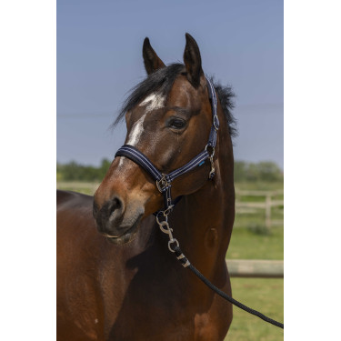Halster Norton 4lines Marineblauw Halster Norton 4lines Marineblauw