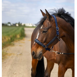Halster Equithème Nylon Strass Marineblauw
