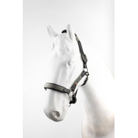 Lederen halster B Vertigo Lennox Groene scarabee