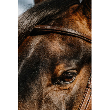 Norton Hunter hoofdstel Bruin