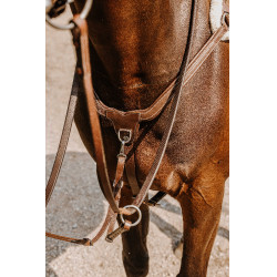 Borsttuig Norton 5 punten Havana Bruin