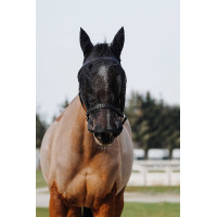 Halster + masker Equithème Zwart Halster + masker Equithème Zwart