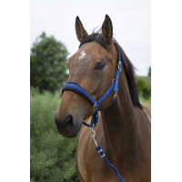 Halster + leadrope Norton Large Blauw Halster + leadrope Norton Large Blauw