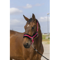 Halster Equithème Nylon Schapenvacht Roze / zwart