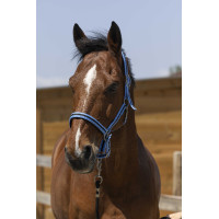 Halster Norton Satijn Zwart