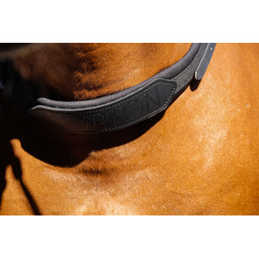Norton bareback halster Norton bareback halster