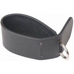 Bevestiging voor hulpteugels aan de singel T van T