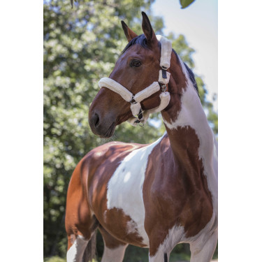 Norton halster Full synthetische schapenvacht Zwart / écru