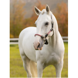 LeMieux Ropella halster Cranberry LeMieux Ropella halster Cranberry