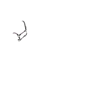 LeMieux Ropella halster Cranberry