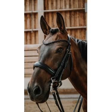 Norton Onyx hoofdstel Zwart