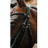 Norton Onyx hoofdstel Zwart Norton Onyx hoofdstel Zwart