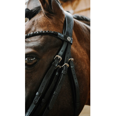 Norton Onyx hoofdstel Zwart