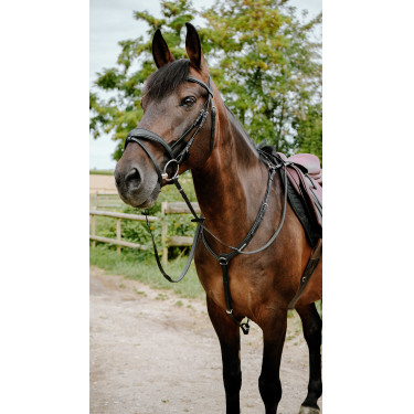 Endurancehoofdstel Norton Pop