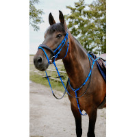 Endurancehoofdstel Norton Pop Roze Endurancehoofdstel Norton Pop Roze