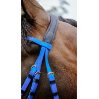 Endurancehoofdstel Norton Pop Roze Endurancehoofdstel Norton Pop Roze