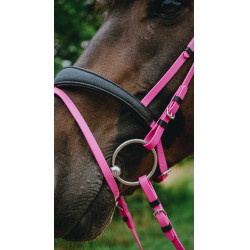 Endurancehoofdstel Norton Pop Roze