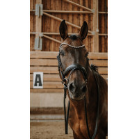 Trens Norton Diams Zwart