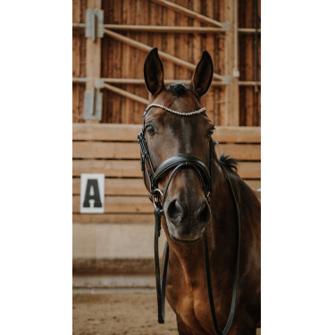 Trens Norton Diams Zwart