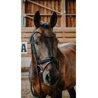 Norton Royal hoofdstel Zwart