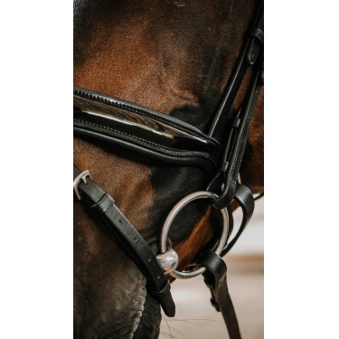 Norton Royal hoofdstel Zwart