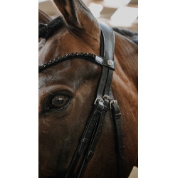 Norton Royal hoofdstel Zwart