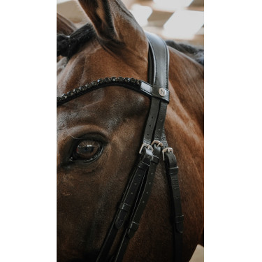 Norton Royal hoofdstel Zwart