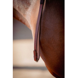 Rubberen teugels Pénélope US Hazelnoot Bruin Rubberen teugels Pénélope US Hazelnoot Bruin