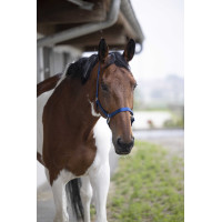 Halster Equithème Nylon Marineblauw