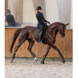 Zadeldek Waldhausen Philadelphia Bruin groen