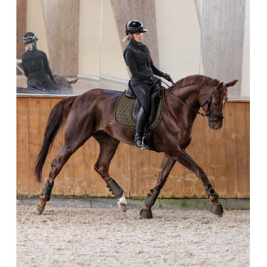 Zadeldek Waldhausen Philadelphia Bruin groen