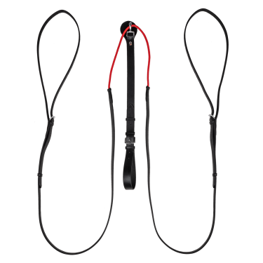 Rênes triangulaire W-train Waldhausen Zwart