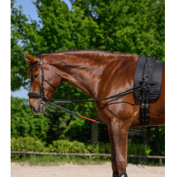 Rênes triangulaire W-train Waldhausen Zwart