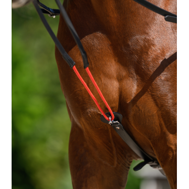 Rênes triangulaire W-train Waldhausen Zwart