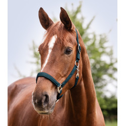 Licol Waldhausen Satin Petrolblauw